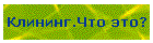 Клининг.Что это?