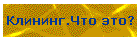 Клининг.Что это?